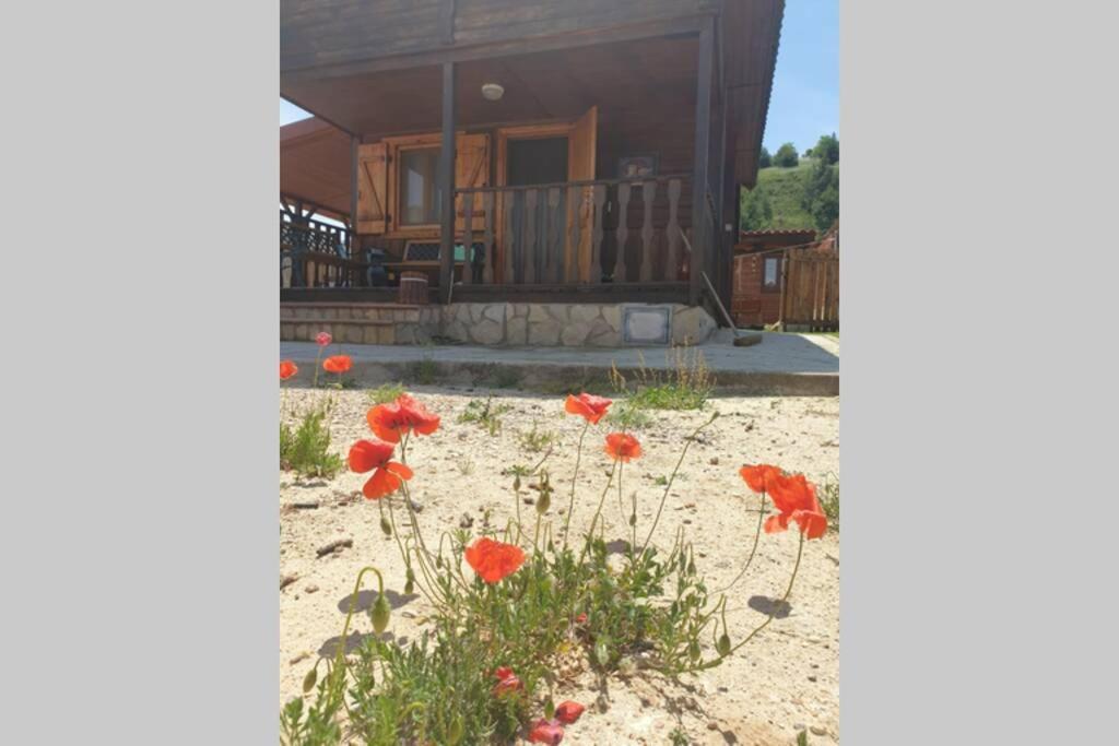 Cabana De Madera Especial Y Acogedora Cardenete Dış mekan fotoğraf