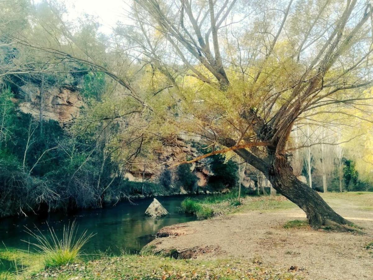 Cabana De Madera Especial Y Acogedora Cardenete Dış mekan fotoğraf