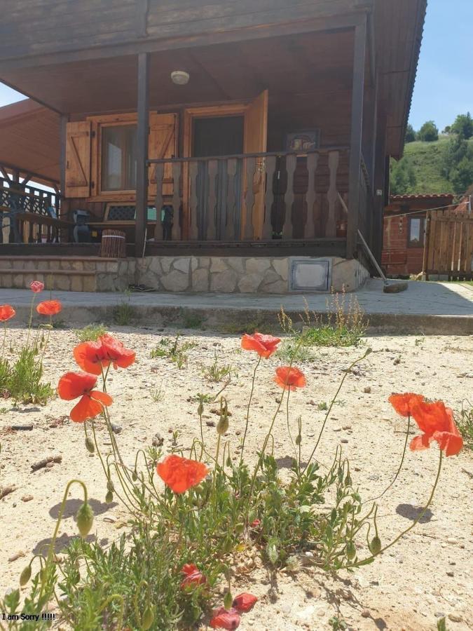 Cabana De Madera Especial Y Acogedora Cardenete Dış mekan fotoğraf